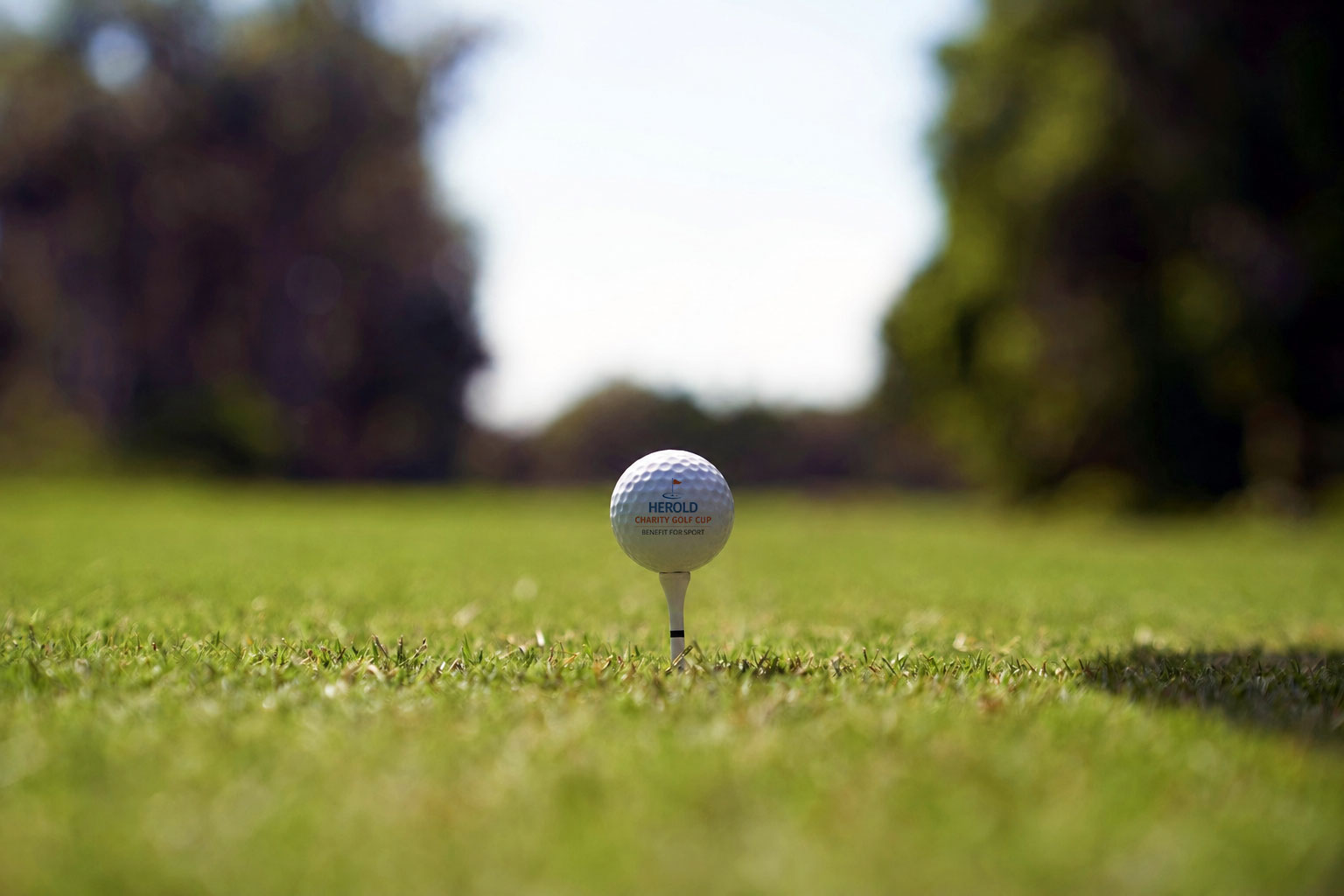 Golfball auf dem Abschlag